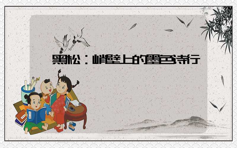  黑松：峭壁上的墨色诗行